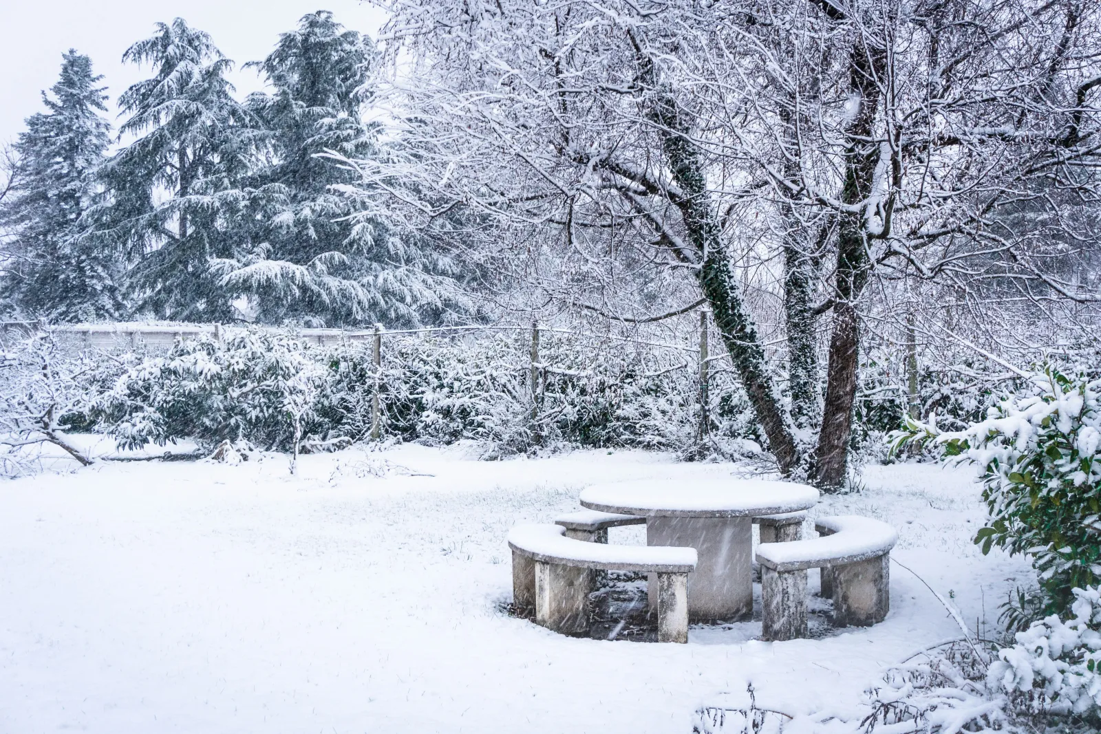 Frostkledd gressplen dekket av snø om vinteren